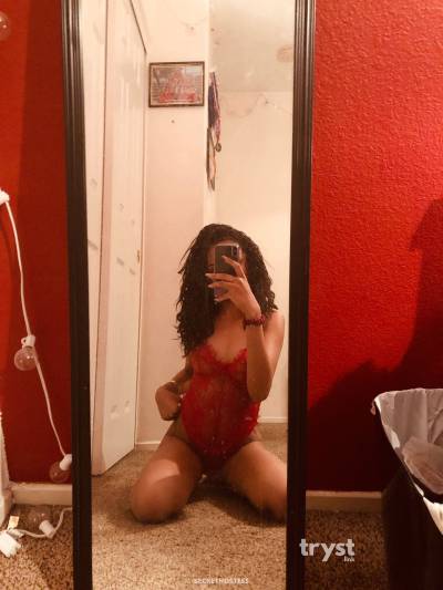 20Yrs Old Escort Size 6 157CM Tall Denver CO Image - 5