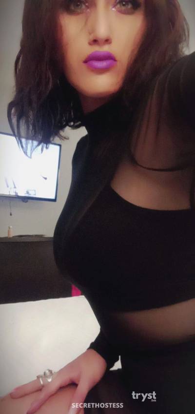 20Yrs Old Escort Size 6 159CM Tall Portland OR Image - 4
