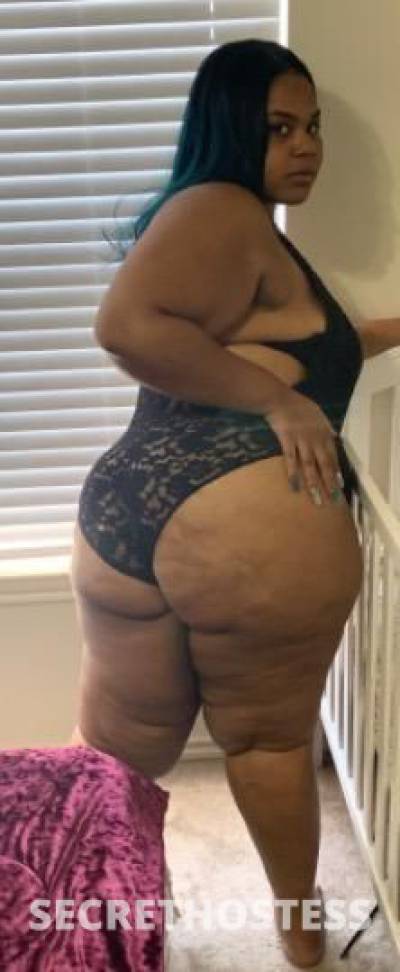 25Yrs Old Escort Dallas TX Image - 1