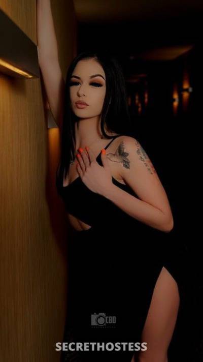 Kennedy 22Yrs Old Escort 165CM Tall Dallas TX Image - 2