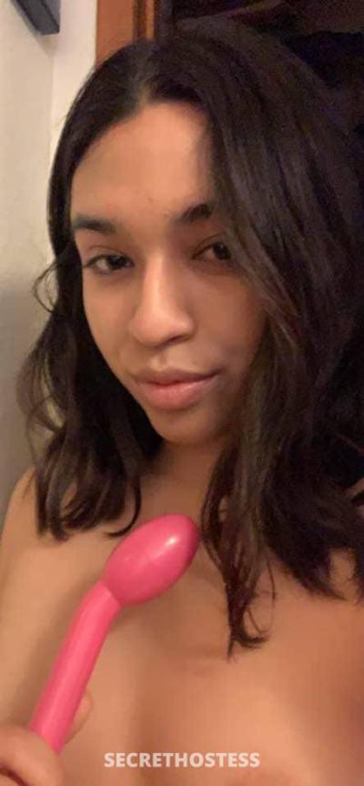 22 Year Old Hispanic Escort Long Island NY - Image 3