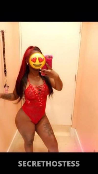 25 year old Australian Escort in West Palm Beach FL Incalllssssss Only And Outcallss Only In Area