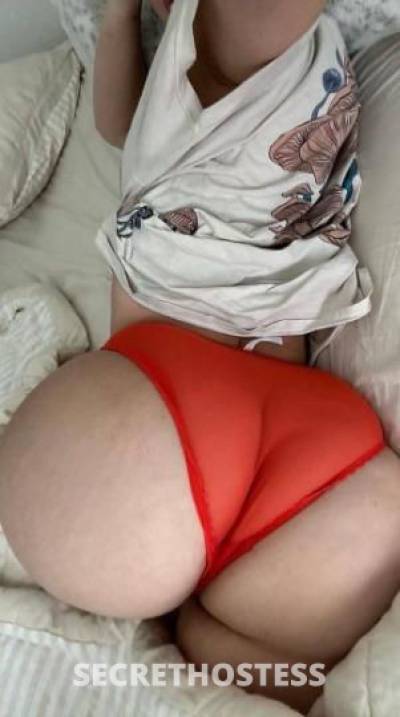 25 Year Old Latino Escort Tampa FL - Image 3