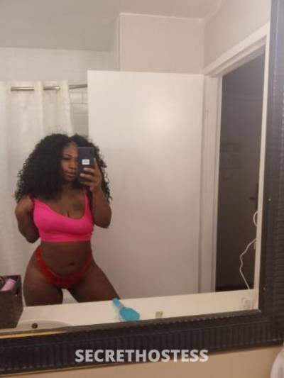 26 year old Australian Escort in West Palm Beach FL $pecials