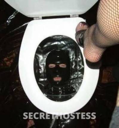 Toilet slave for women, can pay you to use me in Bundaberg