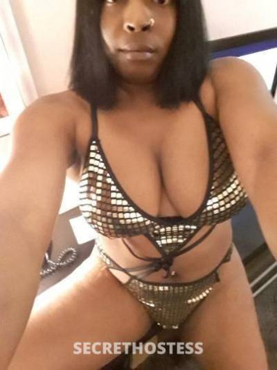 Adina 33Yrs Old Escort Providence RI Image - 0