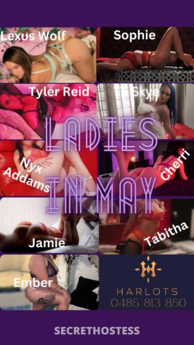 18 year old Escort in Alexandra Mackay Ladies Easy On The Eyes For May - Harlots Mackay