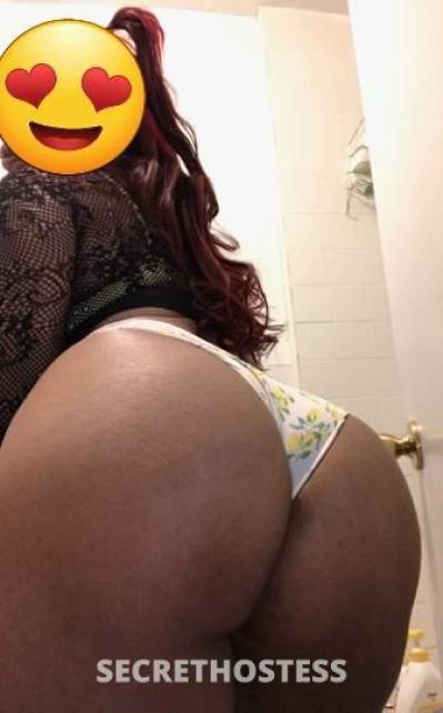 25Yrs Old Escort Bronx NY Image - 1