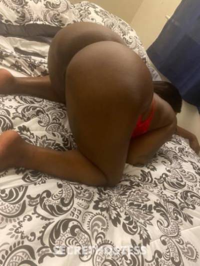 25Yrs Old Escort Queens NY Image - 0
