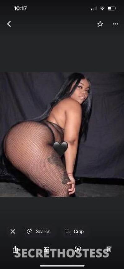 28Yrs Old Escort Bronx NY Image - 1