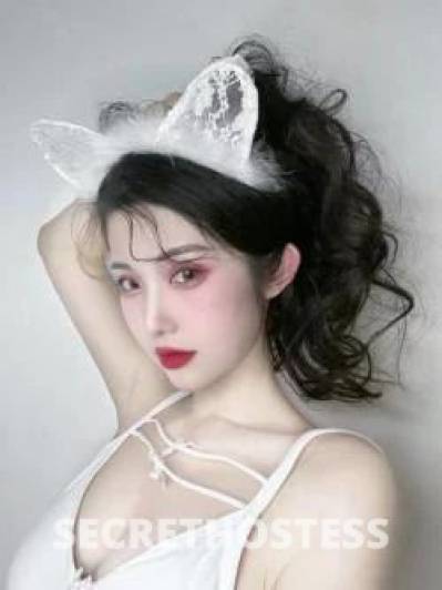 Julie 27Yrs Old Escort Gladstone Image - 3