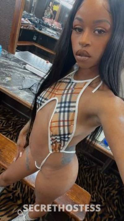 22Yrs Old Escort Dallas TX Image - 1