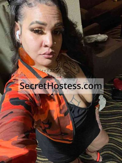 Kashmir 31Yrs Old Escort 86KG 168CM Tall Addison IL Image - 2