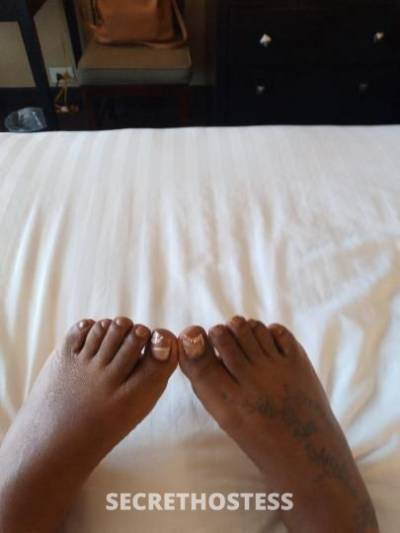 35 year old Escort in Philadelphia PA I will suck that dick like you are mine