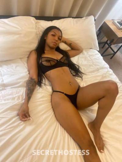 22Yrs Old Escort Bronx NY Image - 0