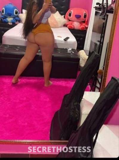 24Yrs Old Escort Bronx NY Image - 2
