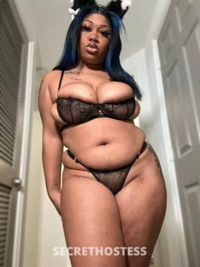 26 year old Escort in Albany NY Real and legit If this is your first time Hit me up I can 