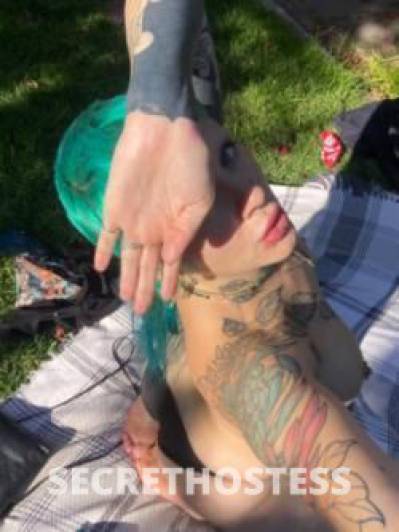 24 year old Escort in Prahran Geelong Horny alt angel ! ( kink friendly