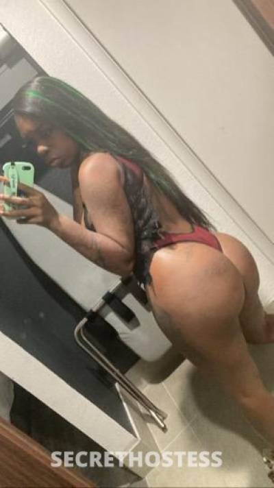 24Yrs Old Escort Raleigh NC Image - 4