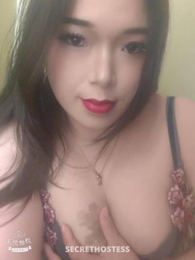 24Yrs Old Escort Size 6 Hobart Image - 3