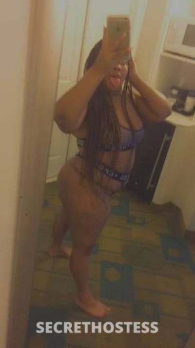 26Yrs Old Escort Tampa FL Image - 0