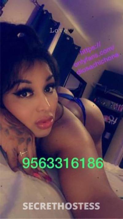 27Yrs Old Escort McAllen TX Image - 3