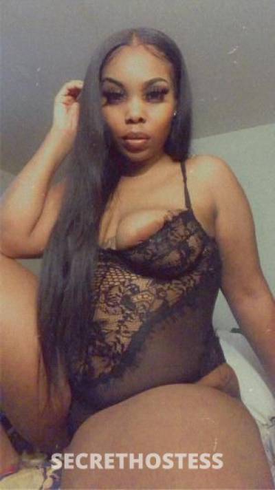 36Yrs Old Escort Detroit MI Image - 2