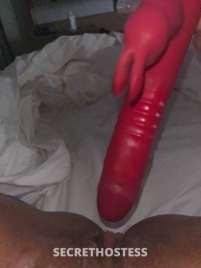 Brat 21Yrs Old Escort Sheboygan WI Image - 8