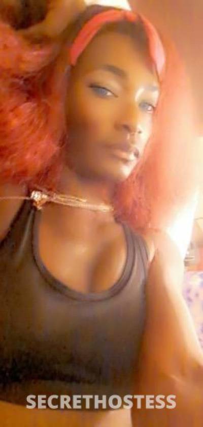 CoCo 29Yrs Old Escort Columbia SC Image - 3