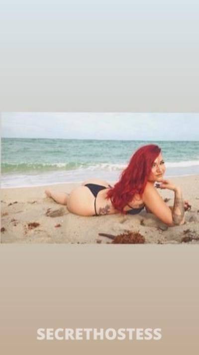 22 Year Old Italian Escort Fort Lauderdale FL - Image 4