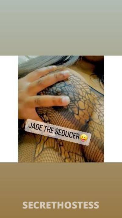 JADE 23Yrs Old Escort Houston TX Image - 1