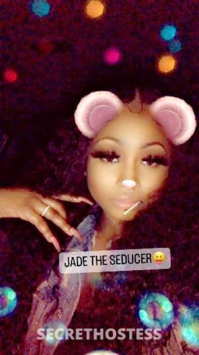 JADE 23Yrs Old Escort Houston TX Image - 5