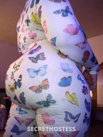 Milky 27Yrs Old Escort Toledo OH Image - 1