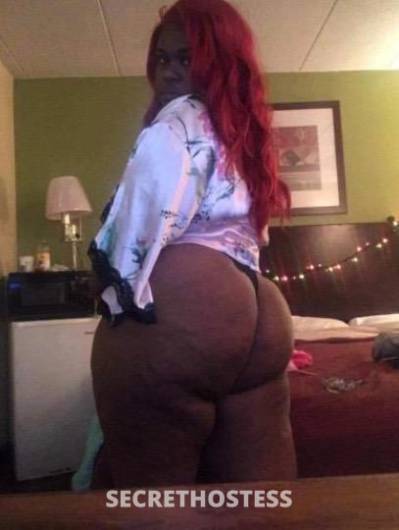 24Yrs Old Escort Chicago IL Image - 3