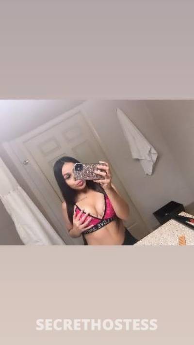 Ashley 22Yrs Old Escort San Buenaventura CA Image - 2