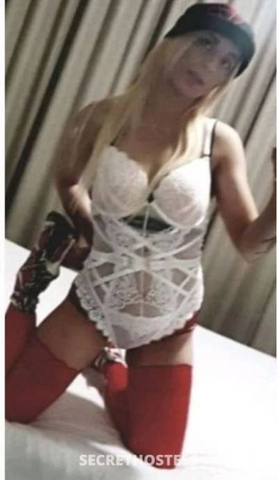 Emma 26Yrs Old Escort Size 8 Sydney Image - 6