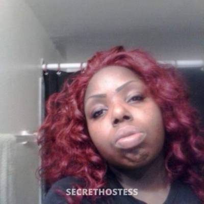 Shelly 31Yrs Old Escort Annapolis MD Image - 3