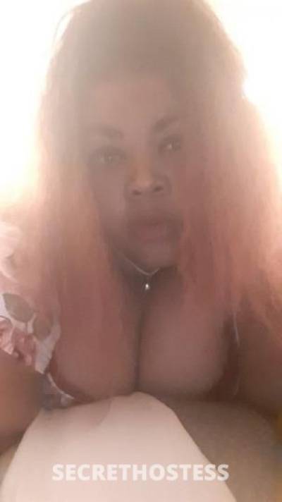 37Yrs Old Escort Shreveport LA Image - 0