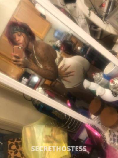 26 year old Escort in Louisville KY thick goddess ONLY doing qv DO NOT call me unless weve youve