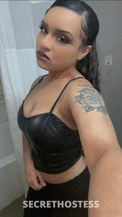 21 year old Escort in Louisville KY Upscale slim thick light skin