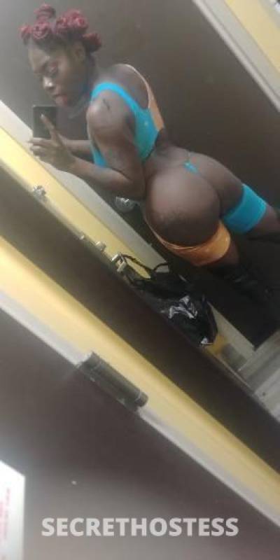 25Yrs Old Escort Brooklyn NY Image - 1