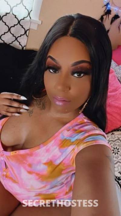 Brandy 26Yrs Old Escort Cleveland OH Image - 2