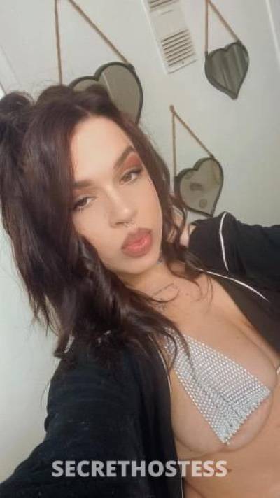 CatMadi 24Yrs Old Escort Tyler TX Image - 1