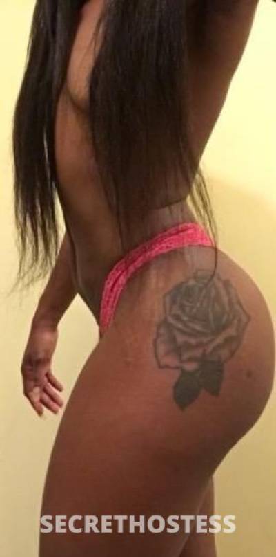 ashley 24Yrs Old Escort Rochester NY Image - 4