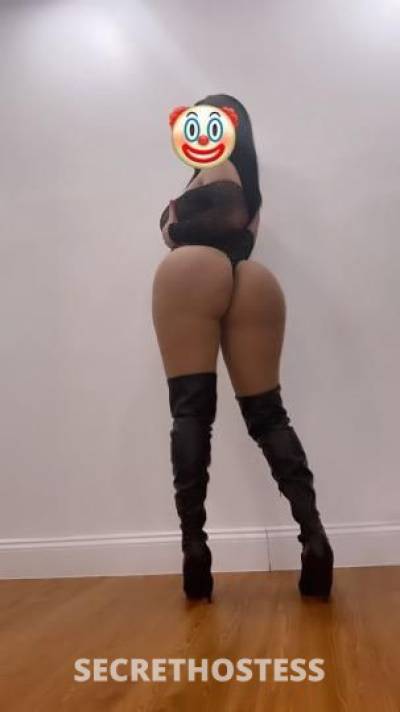 24Yrs Old Escort Bronx NY Image - 1