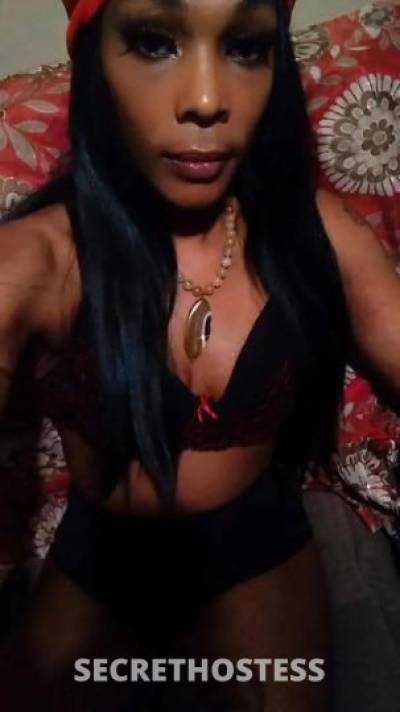 28Yrs Old Escort Cleveland OH Image - 1