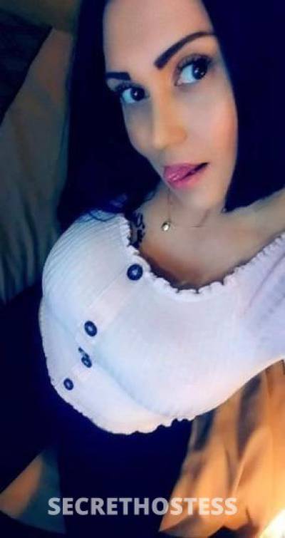 Anastasia 29Yrs Old Escort Springfield MA Image - 3