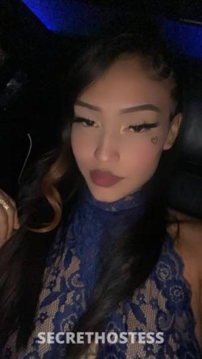 Kitty 22Yrs Old Escort Los Angeles CA Image - 2