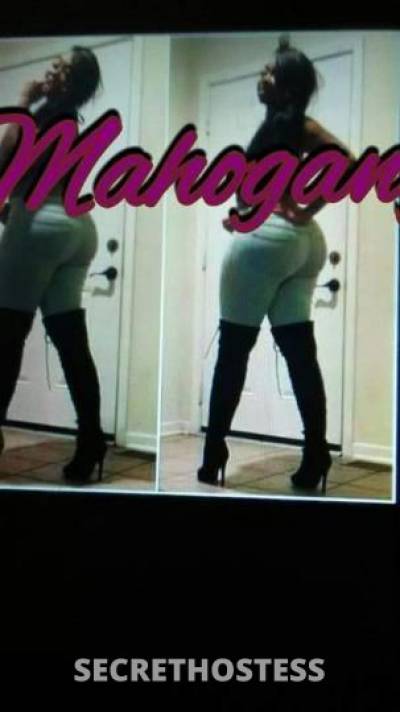 MahoganyBanks 35Yrs Old Escort Shreveport LA Image - 8