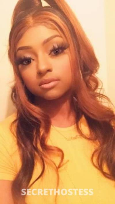 29 year old Escort in College Station TX Incall/ Outcall FT VERIFICATION Available